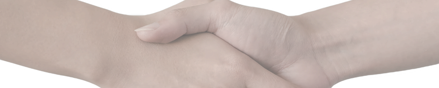 Palm tree background